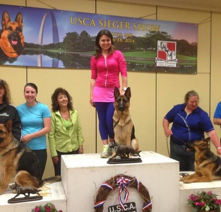 Vom Ragnar Champion West Line German Shepherds